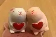 もちの画像