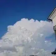 カペッタの画像
