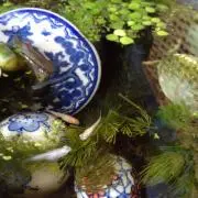 02himeの画像