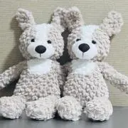 Rの画像