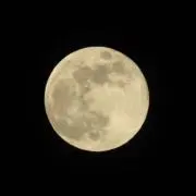 ☆ノリック☆の画像
