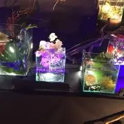 アクア