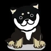 Curry★即購入OK!プロフも見てねの画像
