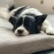 こうこうの画像