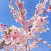 ☆むぅちゃん☆希望価格コメントください✨の画像