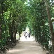 TKの画像