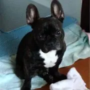 Kの画像