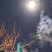 ウィル