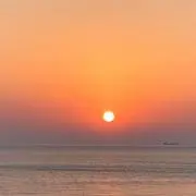SIROの画像