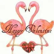 ★マーロ★