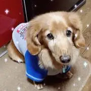 takacho
