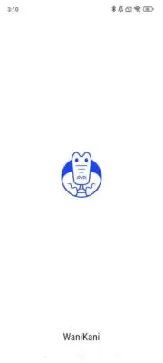 buidoi8xの画像