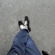 たぬの画像