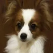 roron