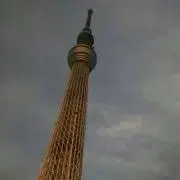 mairororo