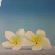 ***Ｒ,s***