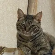 ♡kiki♡の画像