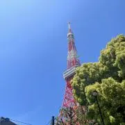 北