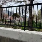 オランジーナの画像
