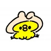 piyo