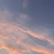 のあの画像