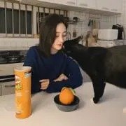 はにこまるの画像