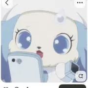 ゆの画像