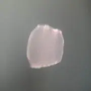 tutuの画像