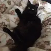 KURO