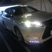 ももちゃんの画像