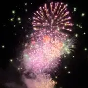 ピーボーの画像