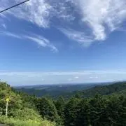 かいの画像
