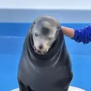 青い春の画像