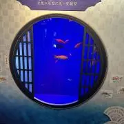 岡本大輝の画像
