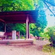 Image of サク