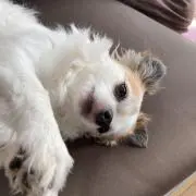 もむ