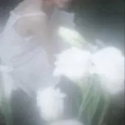 shinaの画像