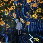 みの画像