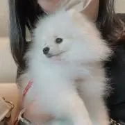 はるはる