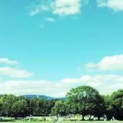 sucre・プロフィール確認お願いしますの画像