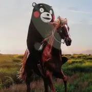 ぴのこの画像