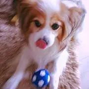 かずまさ