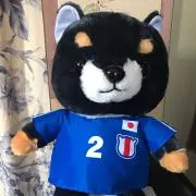 あーるつ！