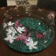 ゆっぽの画像