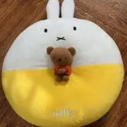 ぼりうさの画像