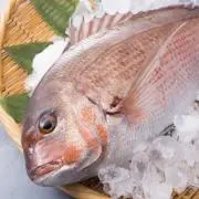 鯛茶漬けの画像
