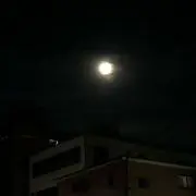 やな