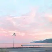 Haar