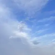 kotoriの画像
