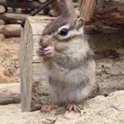 新品、未使用品 エアペニー2 青/白/黄 29cm 箱付き - メルカリ